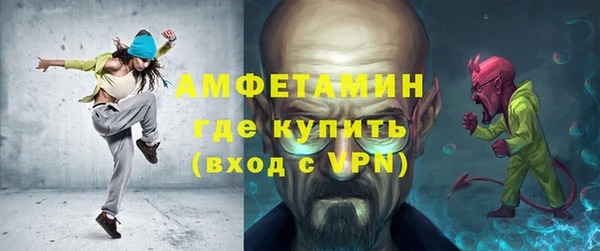 прущие грибы Горно-Алтайск