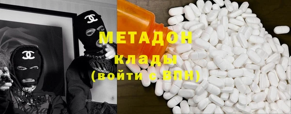прущие грибы Горно-Алтайск