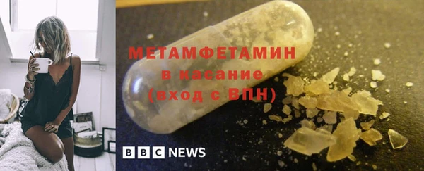 прущие грибы Горно-Алтайск