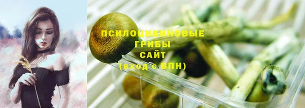 прущие крисы Горняк