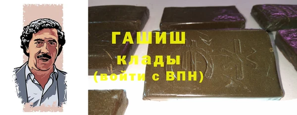 прущие грибы Горно-Алтайск
