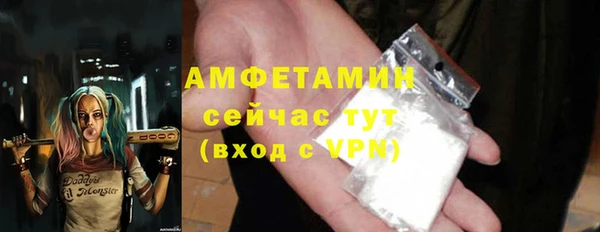 прущие крисы Горняк