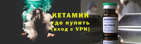 прущие грибы Горно-Алтайск