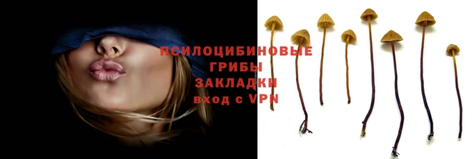 прущие крисы Горняк