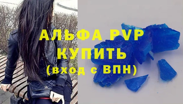 прущие грибы Горно-Алтайск