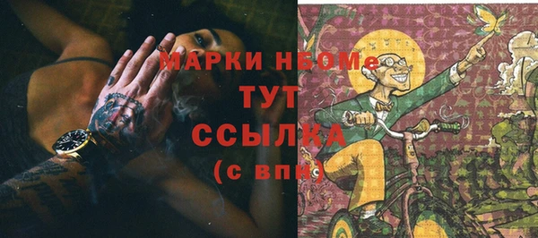 прущие крисы Горняк