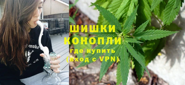 МДПВ Горнозаводск