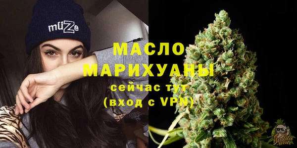 прущие крисы Горняк