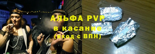 прущие грибы Горно-Алтайск