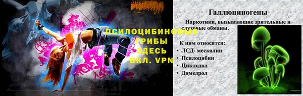 МДПВ Горнозаводск