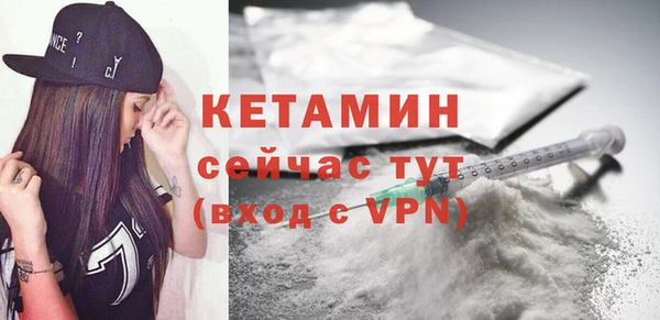 прущие грибы Горно-Алтайск