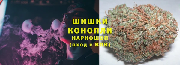 прущие грибы Горно-Алтайск