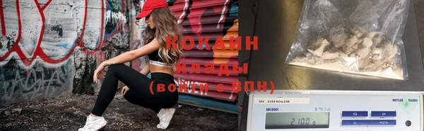 прущие крисы Горняк