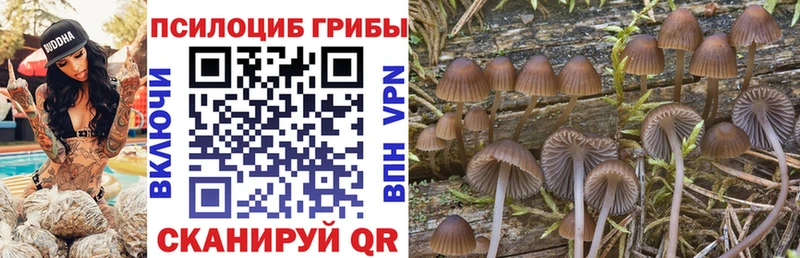 Галлюциногенные грибы Magic Shrooms  Купить закладки  Островной 